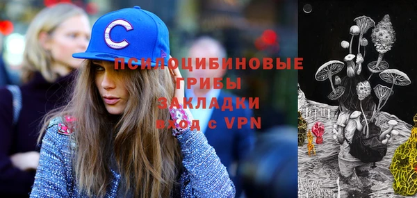 ECSTASY Алзамай