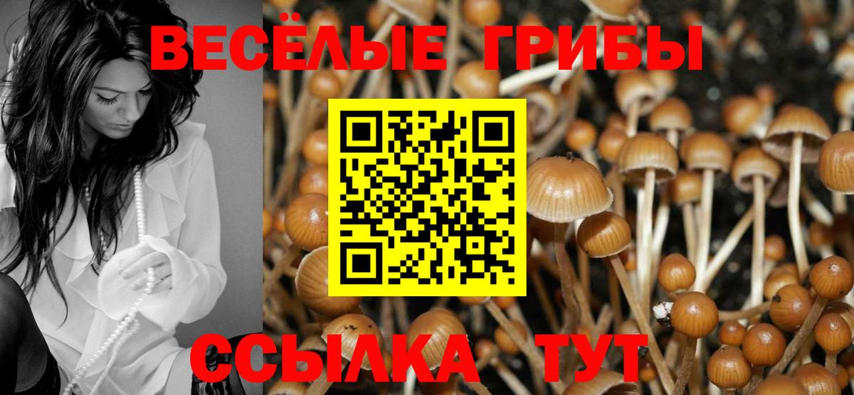 Псилоцибиновые грибы Cubensis  Вход с VPN  Орск 